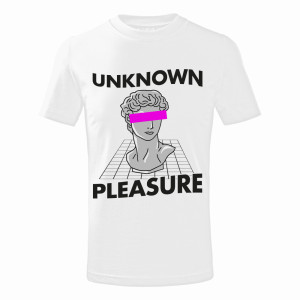 UNKNOWN PLEASURE1