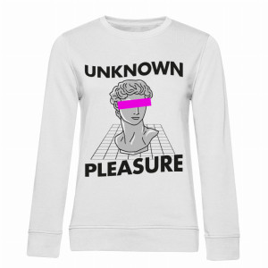 UNKNOWN PLEASURE1