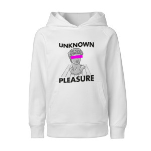 UNKNOWN PLEASURE1
