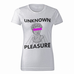 UNKNOWN PLEASURE1
