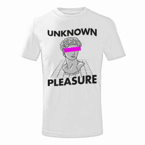 UNKNOWN PLEASURE1