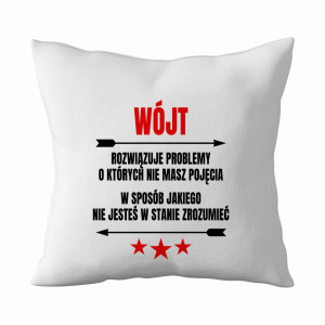 Wójt Rozwiązuje Problemy