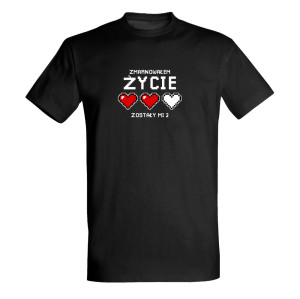 ZMARNOWAŁEM ŻYCIE, ZOSTAŁY MI