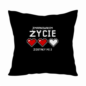 ZMARNOWAŁEM ŻYCIE, ZOSTAŁY MI